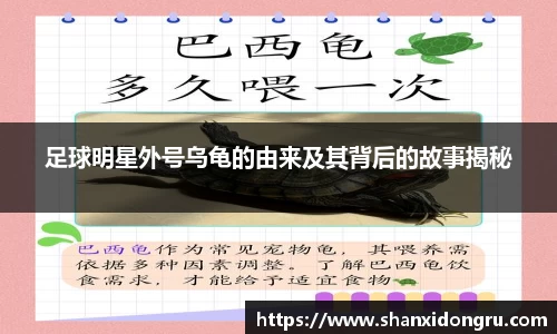 足球明星外号乌龟的由来及其背后的故事揭秘